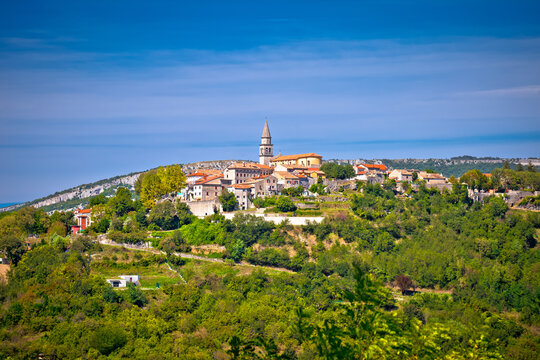 Buzet. Hill town of Buzet surrounded by stone walls in green landscape view