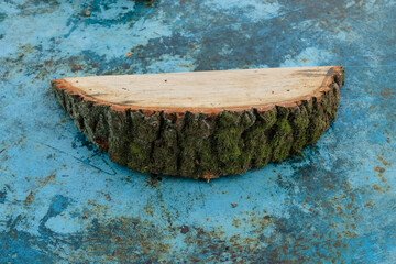 A piece of oak raw material. Old tree. Moss on oak bark. Wood on a metallic blue rusty surface....