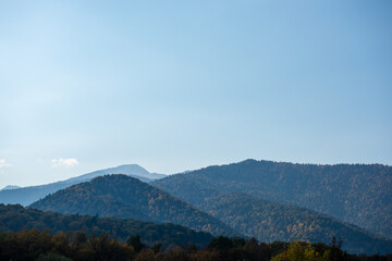 autumn morning in the forest with mountain views