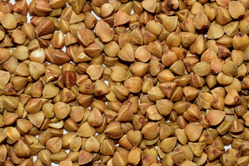 Macro photo of buckwheat groats. Grains buckwheat groat texture pattern for background. Image food product porridge buckwheat grains.