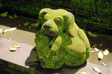 Stone dog statue covered with green moss