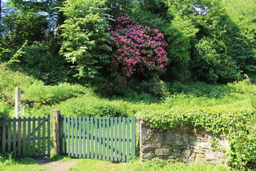 Fence with flowers