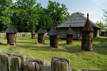 Old wooden beehives in yard