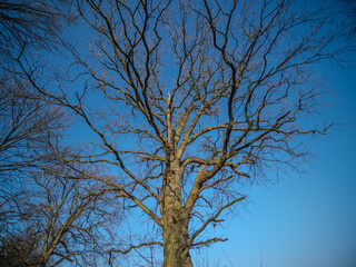 Northern Germany landscape