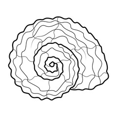 Sea shell.Coloring book antistress for children and adults. Illustration isolated on white background.Zen-tangle style. Black and white drawing