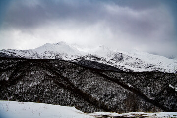 panoramic landscape of the snow-capped mountains and gorges of the Caucasus
