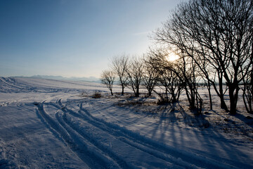 Fototapeta na wymiar winter landscape with snow and trees