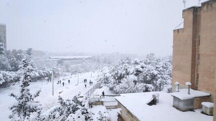 Obraz premium trees and buildings after a snowstorm 
