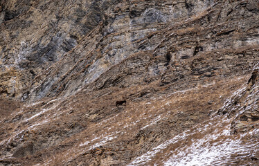 mountain landscape after snowfall in the Caucasus mountains 