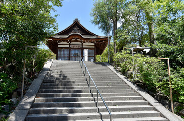 Obraz premium 宇治神社 参道と拝殿 京都府宇治市