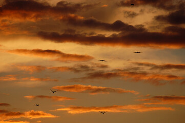 Dramatic sunset sky warm colors background