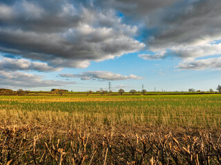 Obraz premium FRIDAY WALK - COMING TO THE END