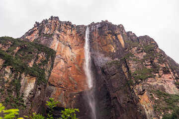 View of the highest Salto Angel waterfall in the world (Canaima National Park, Bolivar, Venezuela).