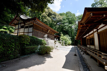 宇治上神社　拝殿と本殿　京都府宇治市