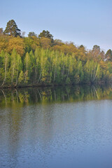 Forest trees reflections on the lake water surface