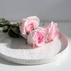 Rose White Pink O'hara.