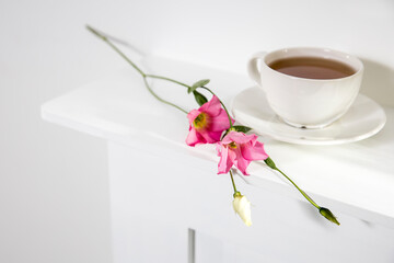 Pink eustoma flowers on white. Empty space