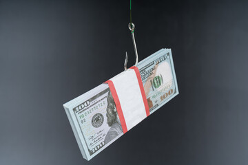 Fishing hook bundle of dollars banknotes. Risk, danger. business idea, bribe.
