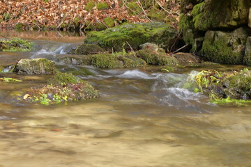 Fototapeta na wymiar mossy rocks in a small river 