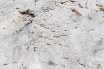 Pink salt in salt lake as textured background. Salt background.