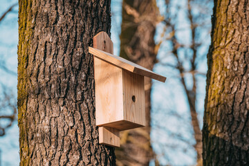 Nest box on a tree, New nestbox, Wooden birdhouse. Birdbox, bird box in the park, Spring is comming, Bird migration, sunny day, Season