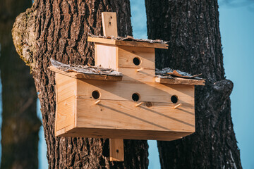 Multifamily nest box on a tree, New nestbox, Wooden birdhouse, Birdbox, bird box in the park, sunny day, Season