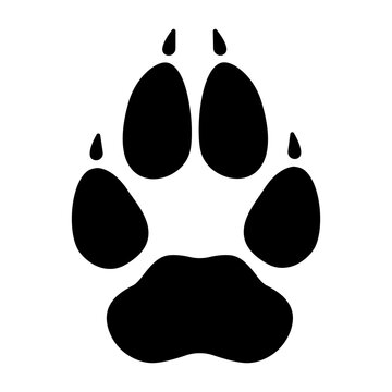 Wolf footprint imprint icon. Black paw of dangerous forest predator with clear markings and adult sharp vector claws.