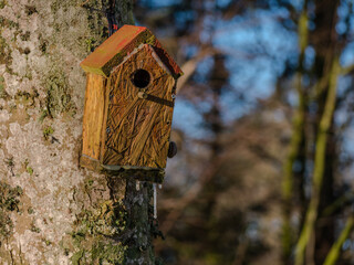 Birdhouse