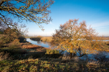 Cold frosty winter landscape scene