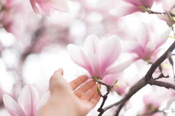 Closeup of young woman hand touching blossom flowers
