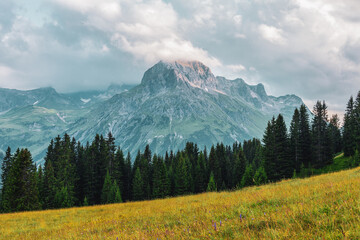 panoramic view of the Austrian Alps