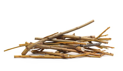 Dry branches weeping willow, twigs isolated on white background