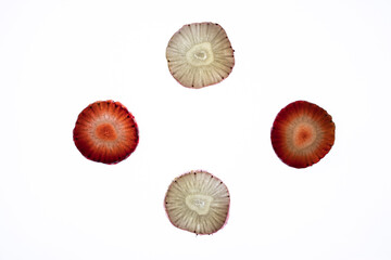Pineberry and strawberry slices or cross-section showing internal structure on white background.