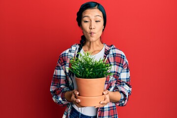 Beautiful hispanic woman wearing gardener shirt holding plant pot making fish face with mouth and...