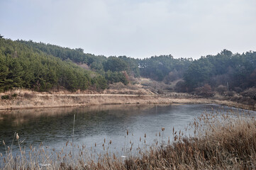 Duung Wetland in Taean-gun, South Korea.
