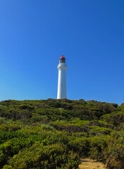lighthouse on the coast surrounded by green bushes under a very blue sky