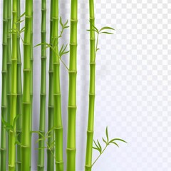 Fototapeta na wymiar Green bamboo trunks, Chinese plants decoration