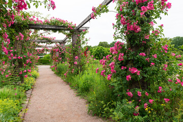rosen garten durchganz torbogen weg mit blumen