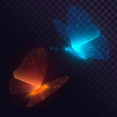 Two blue and orange glowing butterflies with circuit wings  © lidiia