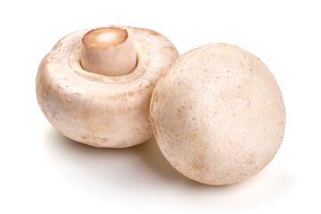 Champignons, close-up, isolated on white background. High resolution image