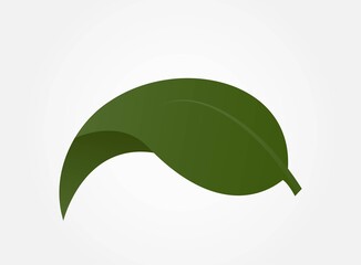 green leaf icon. eco, environment and nature symbol. isolated vector color image