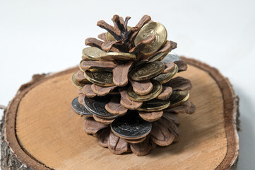 still life "money tree": a cedar cone with coins on a cut of a tree. Inscription on the coins: Bank of Russia, Russian Federation