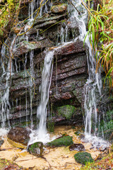 waterfall in the forest
