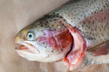 A close-up of the head and body of a fresh gutted trout on a sheet of parchment. Healthy eating, keto, ketogenic diet, low carb foods. Selective focus.