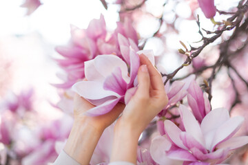  Spring concept. Blossoming magnolia flower in a girl‘s hand