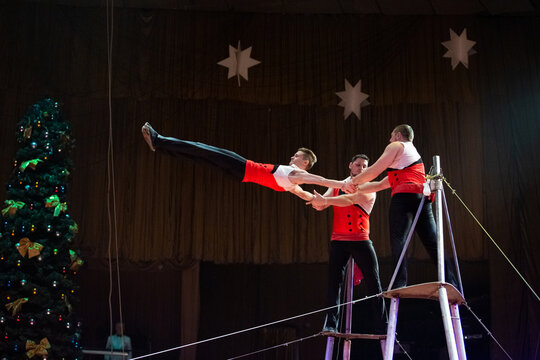 performances of artists under the dome of the circus