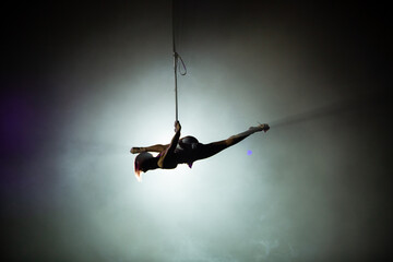 performances of artists under the dome of the circus