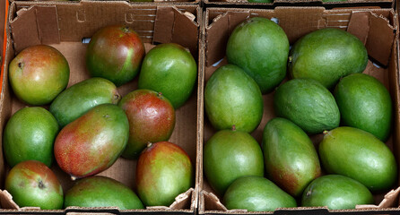 Mangoes for sale at a fruit shop