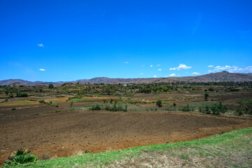 Obraz premium Madagascar scenery