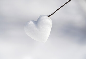 single snow heart on the branch